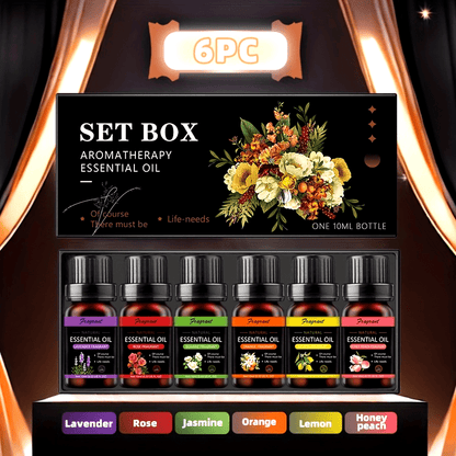6pcs Essential Oil Diffuser Set with 10Ml Bottles